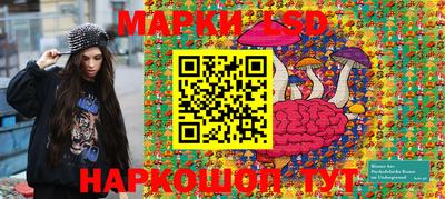 шишки Изобильный