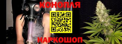 шишки Изобильный