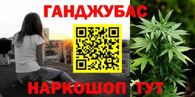 шишки Изобильный