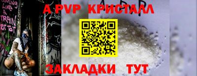шишки Изобильный