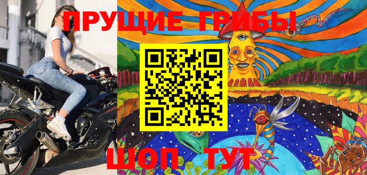 Псилоцибиновые грибы прущие грибы Лабинск