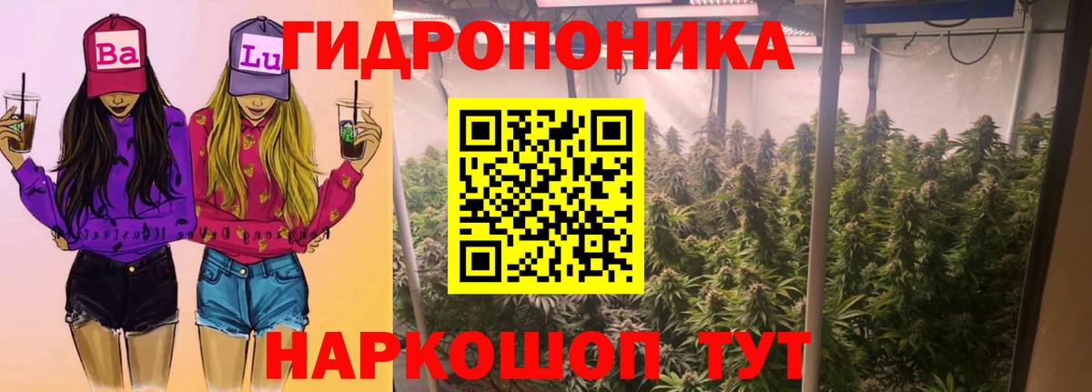 Бошки Шишки White Widow Лабинск